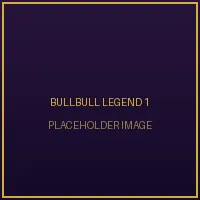 传奇毕业生闪电赵天雷